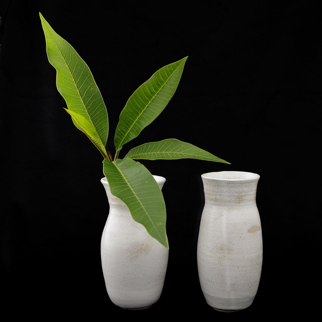 Full moon– rill and stone